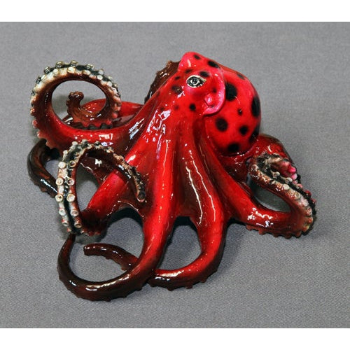 OCTOPUSです Tammy Octopus – Key West Gallery