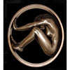 Encircled Enigma