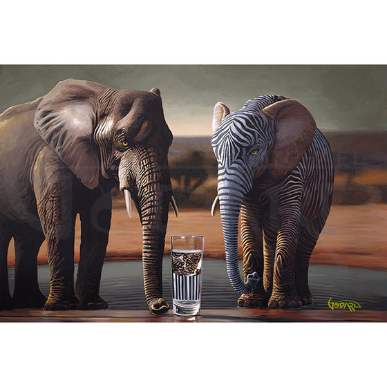 Safari Series: Don’t Drink the Water