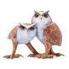 Hoo’s Who