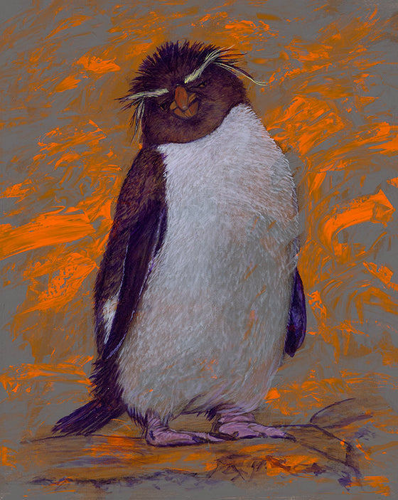 Untitled Penguin