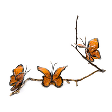  Autumn • Multiple Colors