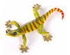 Dino