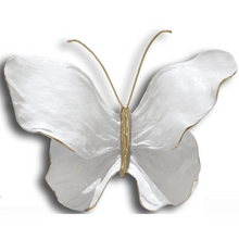  Contessa • Multiple Colors