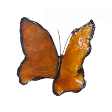  Empress • Multiple Colors