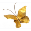 The Midas Touch Collection | 22K Gold Leaf