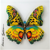 Transformation of Hope | Yellow