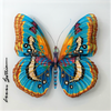 Transformation of Hope | Blue