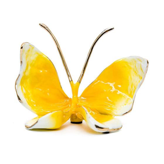 Duke • Multiple Colors