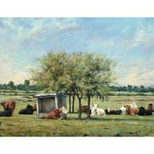  Tripp Harrison Cows Fine Art