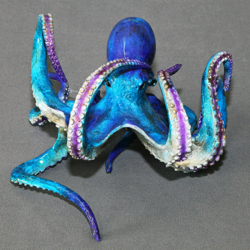 Eli Octopus