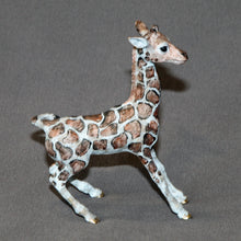  Giraffe Baby