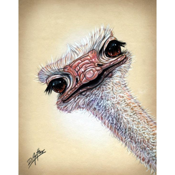 Glamour Shots - Eye on the Birdie – Key West Gallery