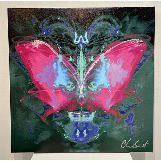 Chad Smith Rhythmic Art Satan's Butterfly