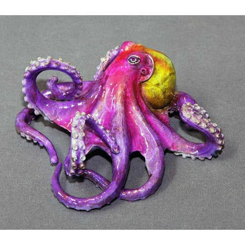 Tammy Octopus