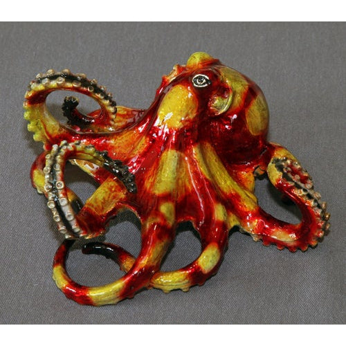 Tammy Octopus